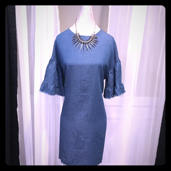 style envy denim dress